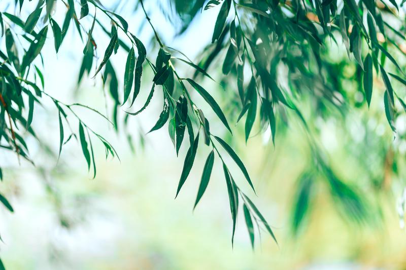 医药发展的生态系统，生物医药的行业现状